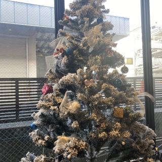 。゜⋆*~*⋆* X mas *⋆*~*⋆゜。